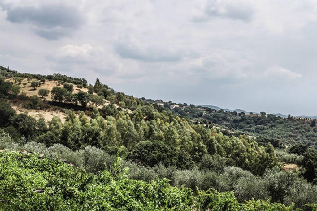 Santa Sofia d'Epiro Agriturismo Miracco Atanasio Franco "Il Maniero" מראה חיצוני תמונה