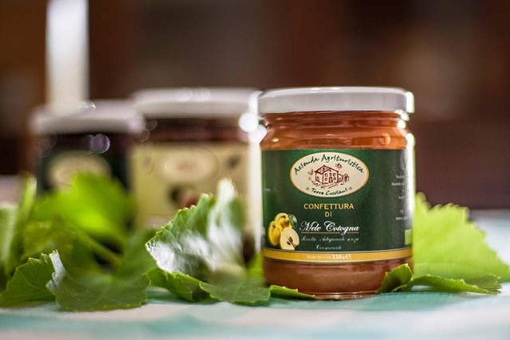 Santa Sofia d'Epiro Agriturismo Miracco Atanasio Franco "Il Maniero" מראה חיצוני תמונה