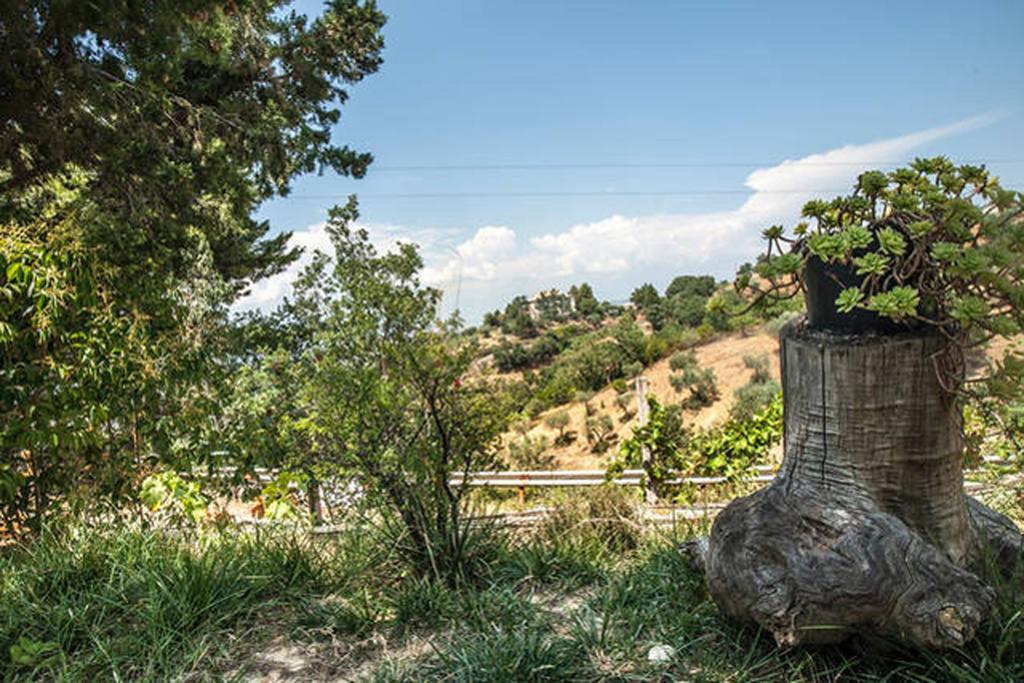 Santa Sofia d'Epiro Agriturismo Miracco Atanasio Franco "Il Maniero" מראה חיצוני תמונה